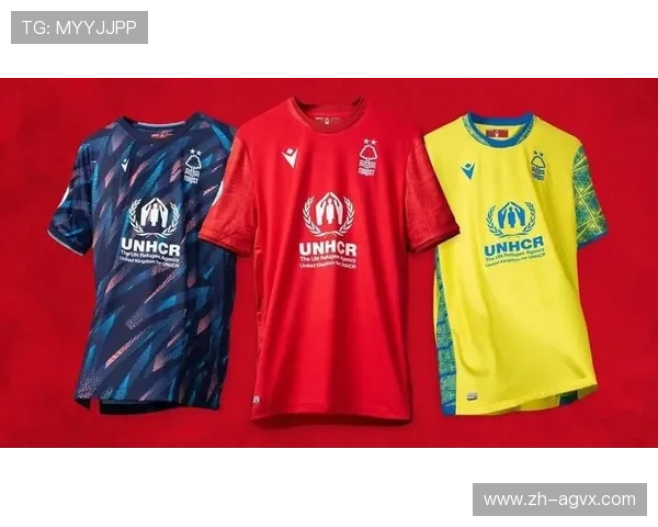 荷兰英超球衣专卖店推荐与购物指南